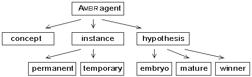 agent type hierarchy